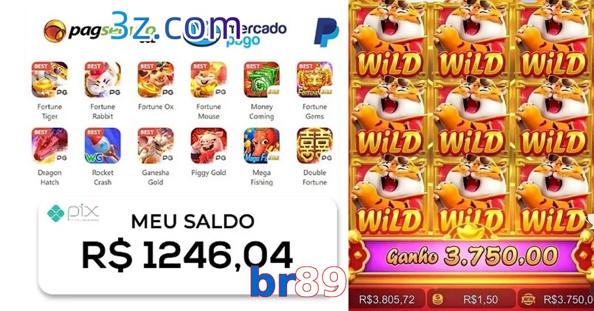 br89 menu do jogo